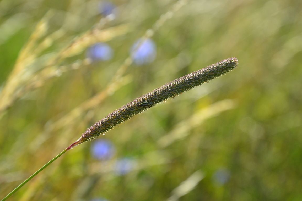 DSC_0013.jpg