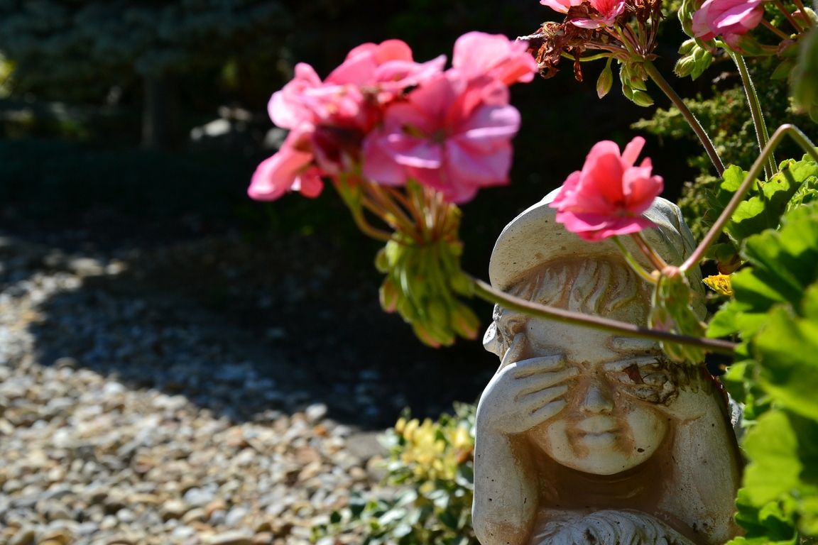 DSC_0015.jpg