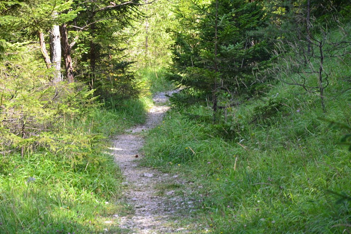 DSC_0015.jpg
