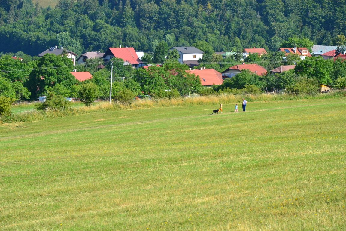 DSC_0016.jpg