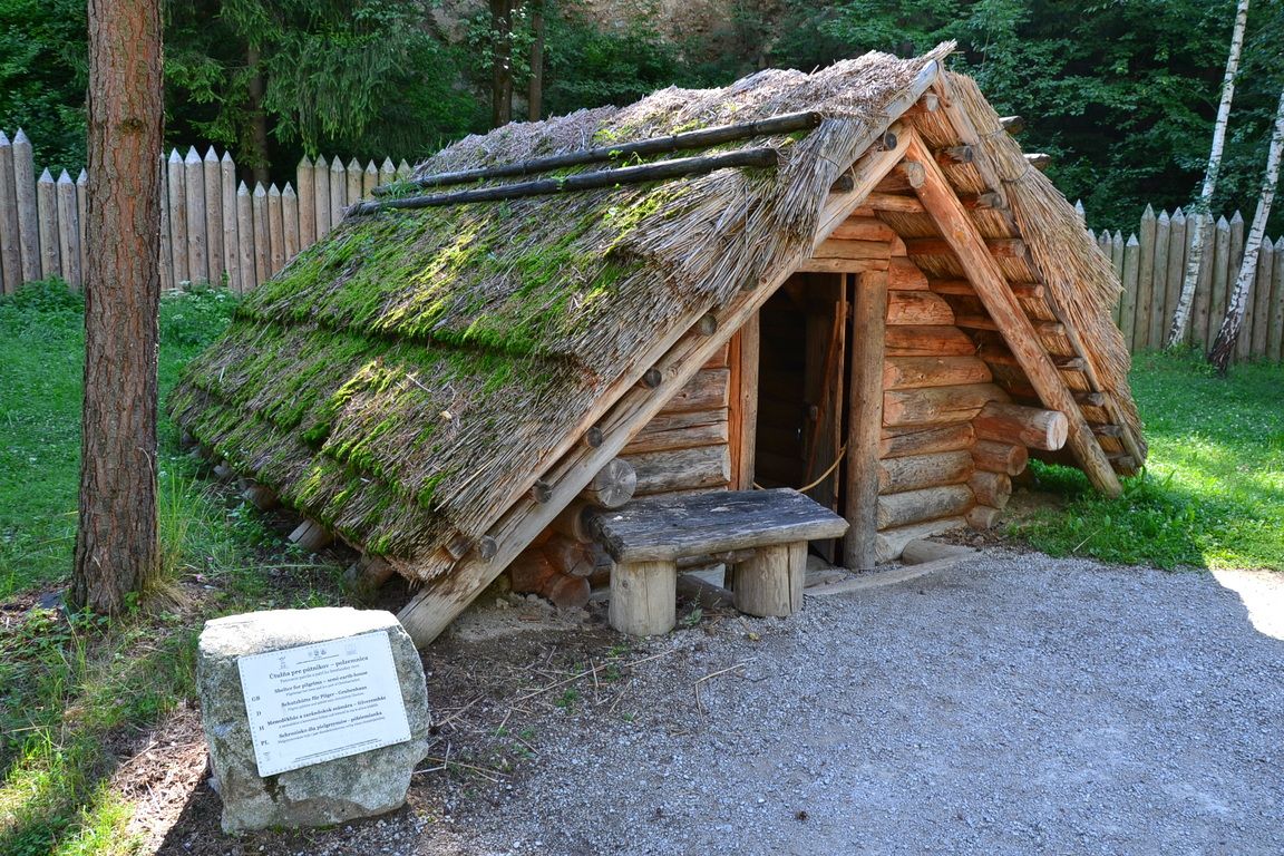 DSC_0016.jpg