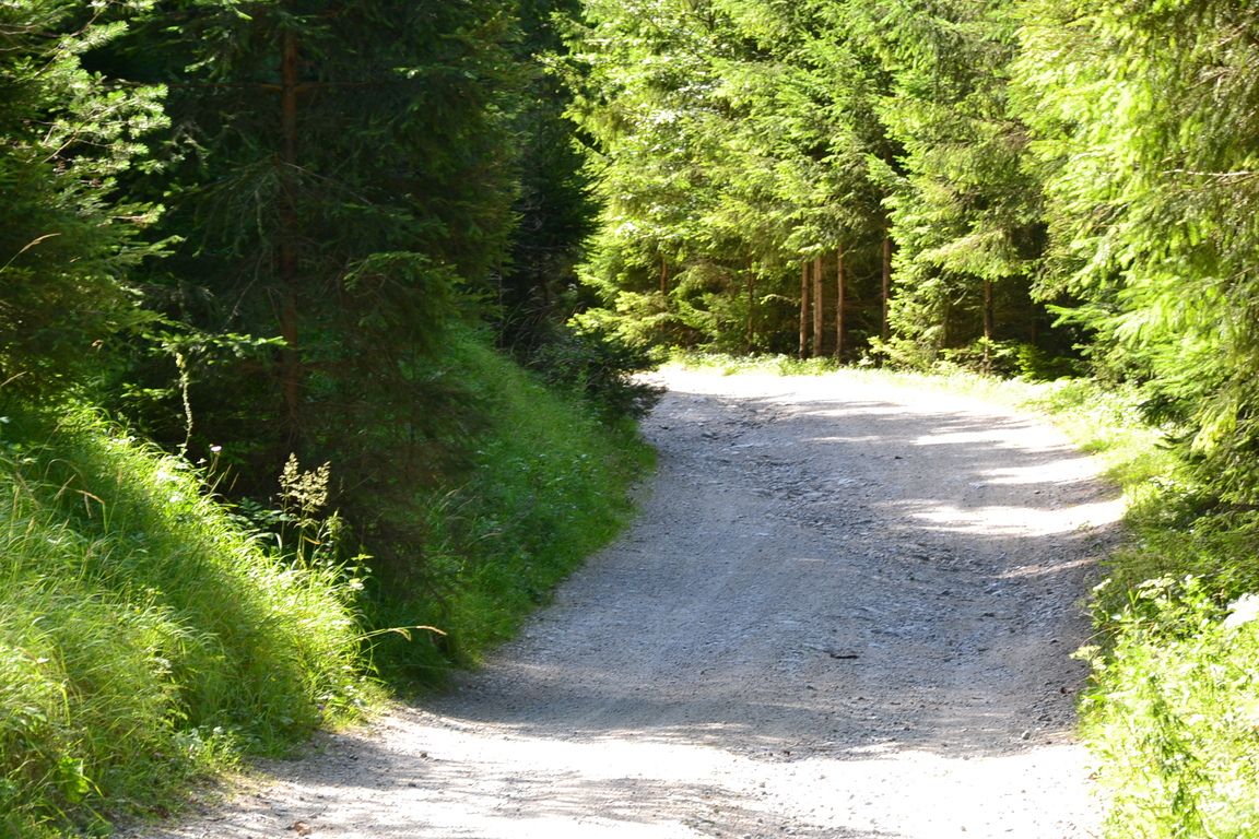 DSC_0016.jpg