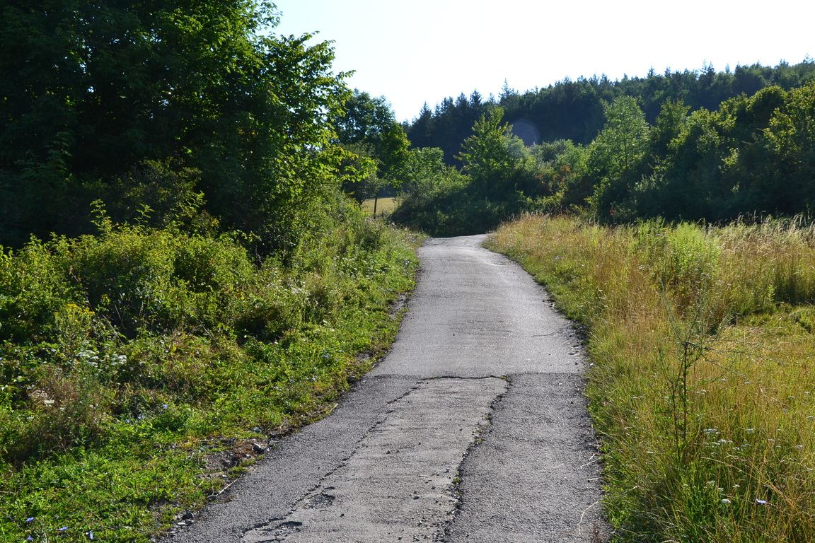 DSC_0017.jpg