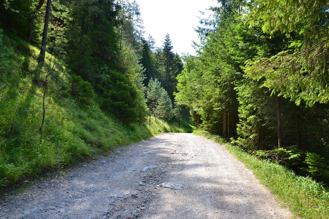 DSC_0018.jpg