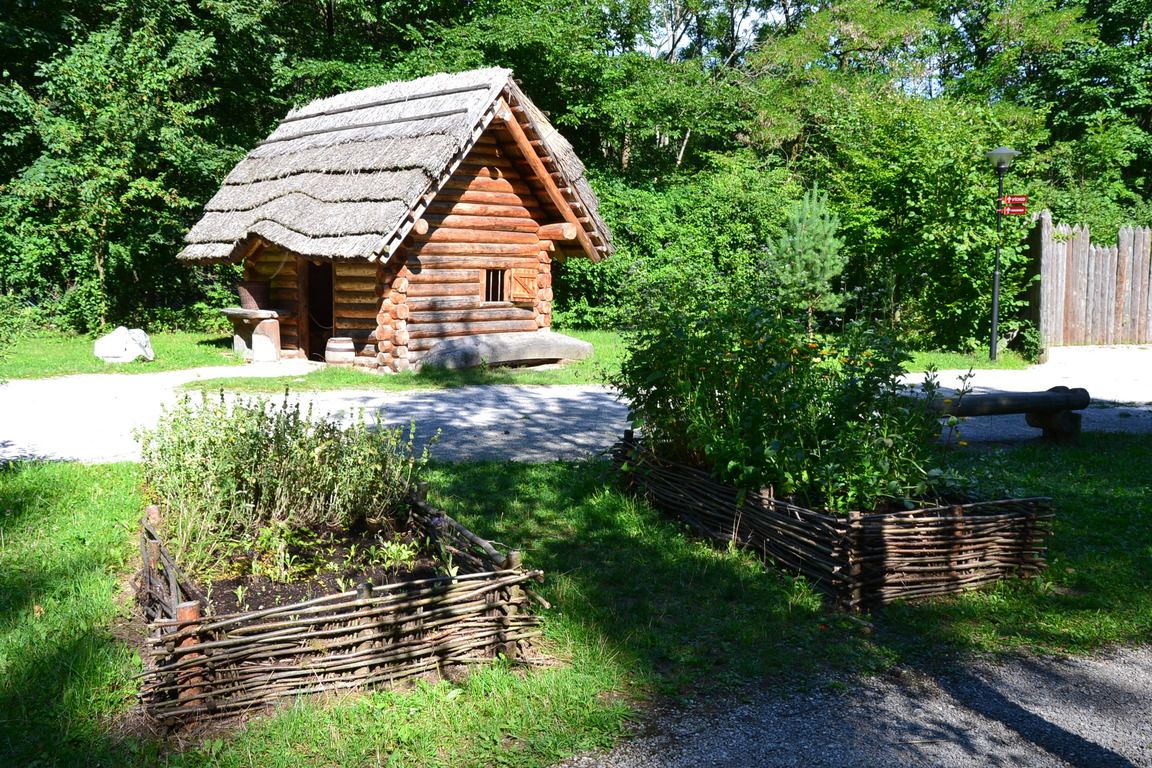 DSC_0018.jpg