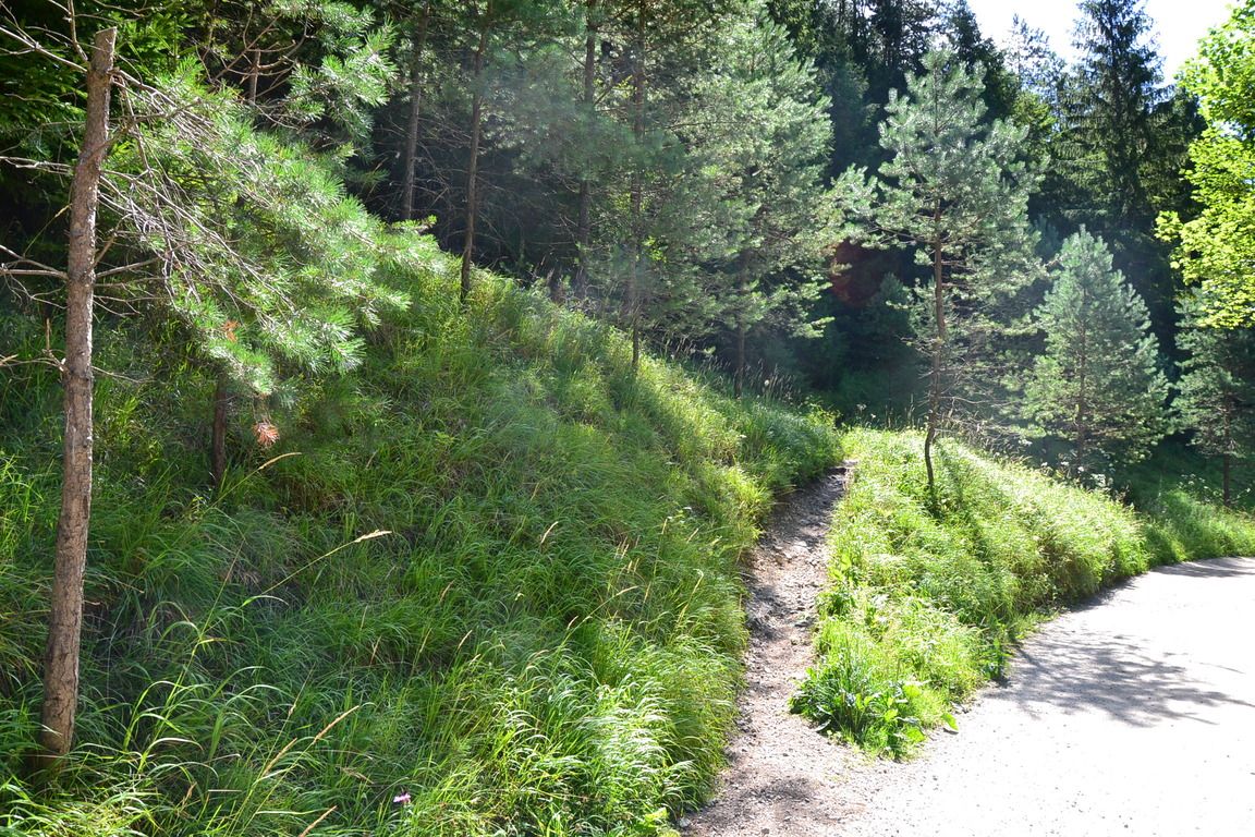 DSC_0019.jpg