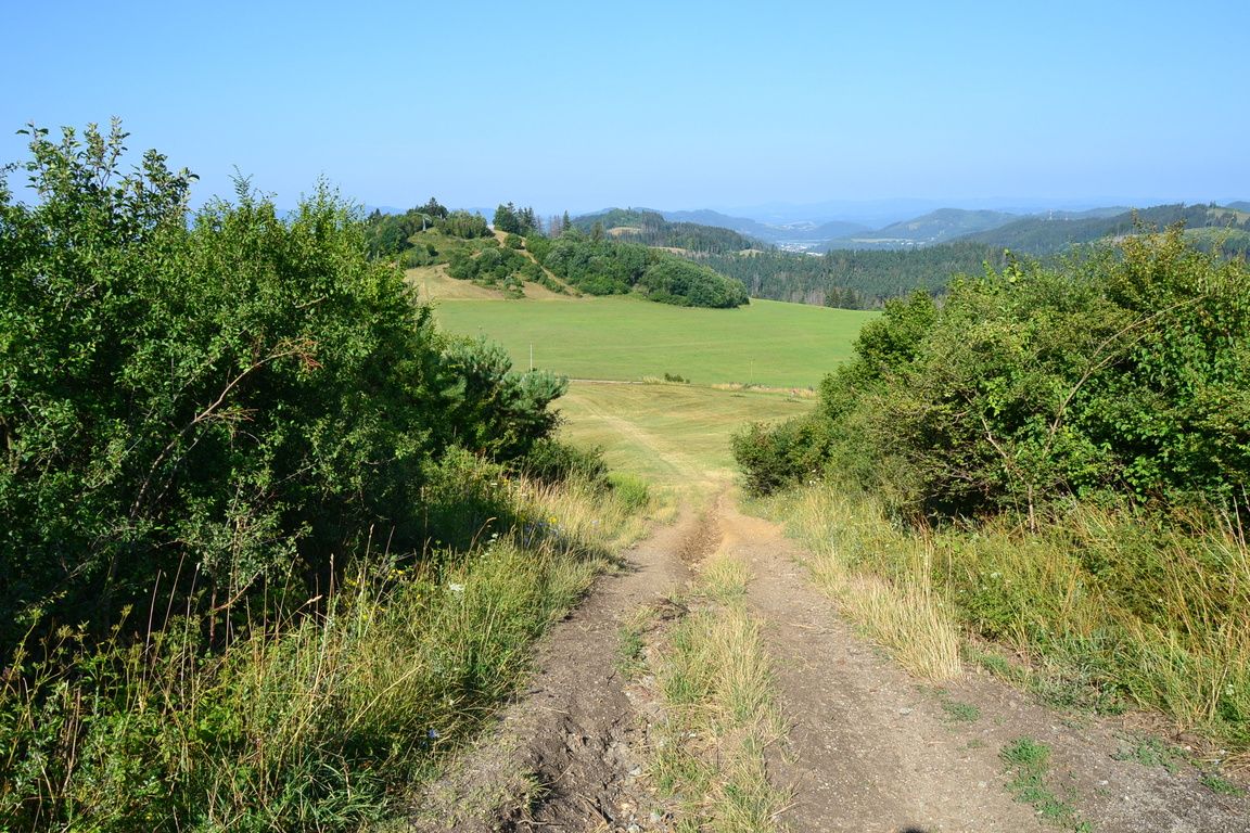 DSC_0019.jpg