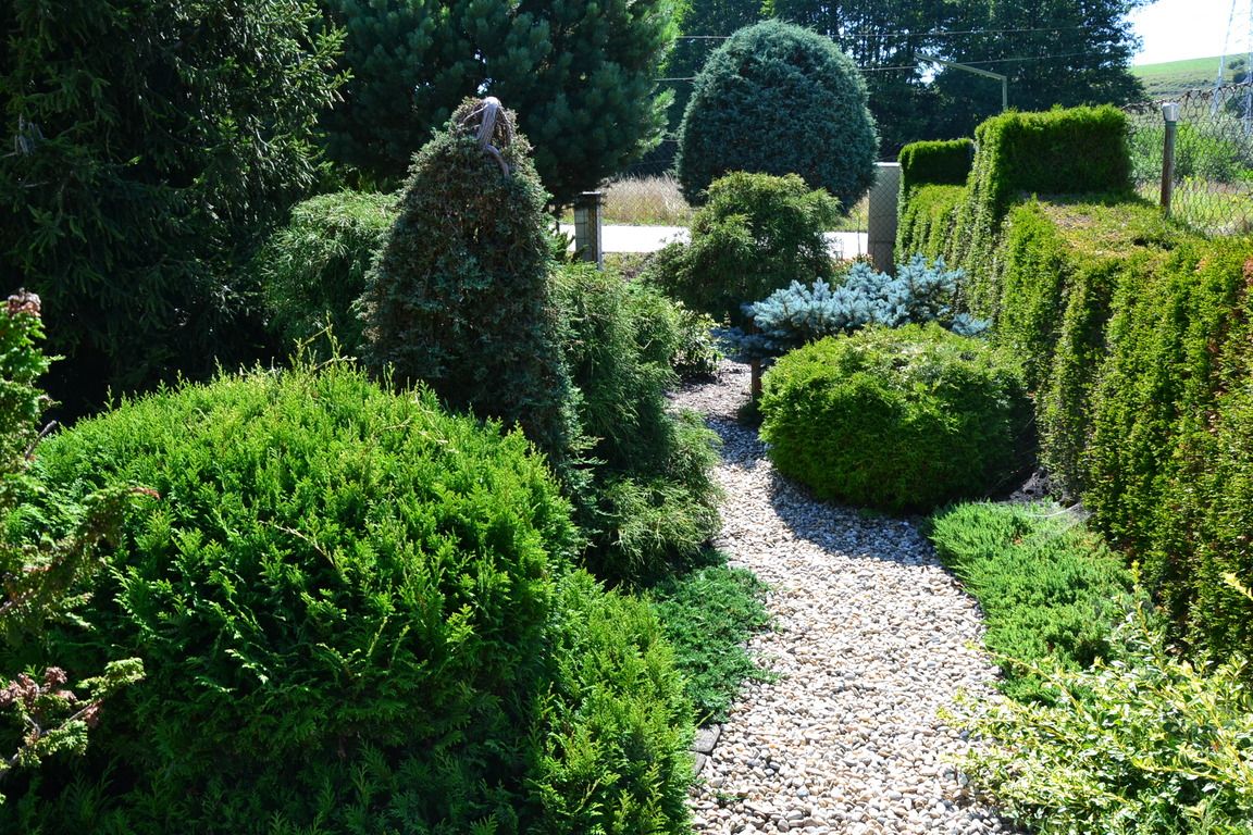 DSC_0020.jpg