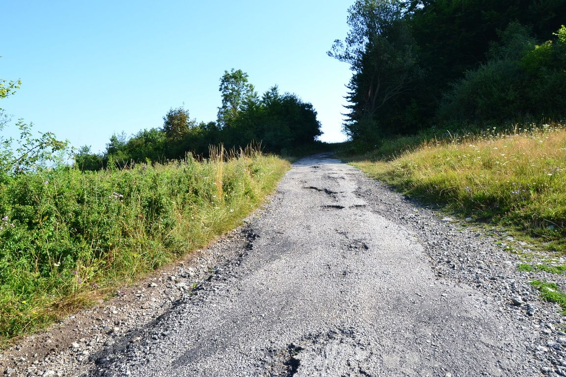 DSC_0020.jpg