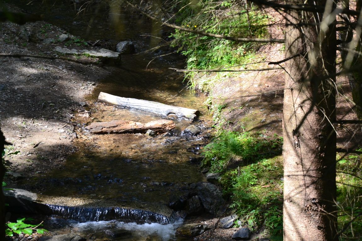 DSC_0020.jpg