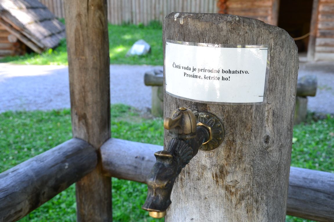DSC_0021.jpg