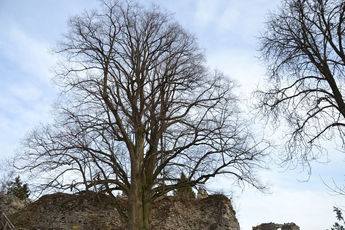 DSC_0021.jpg