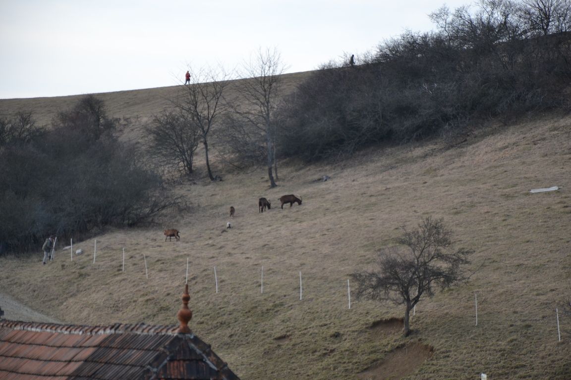 DSC_0022.jpg