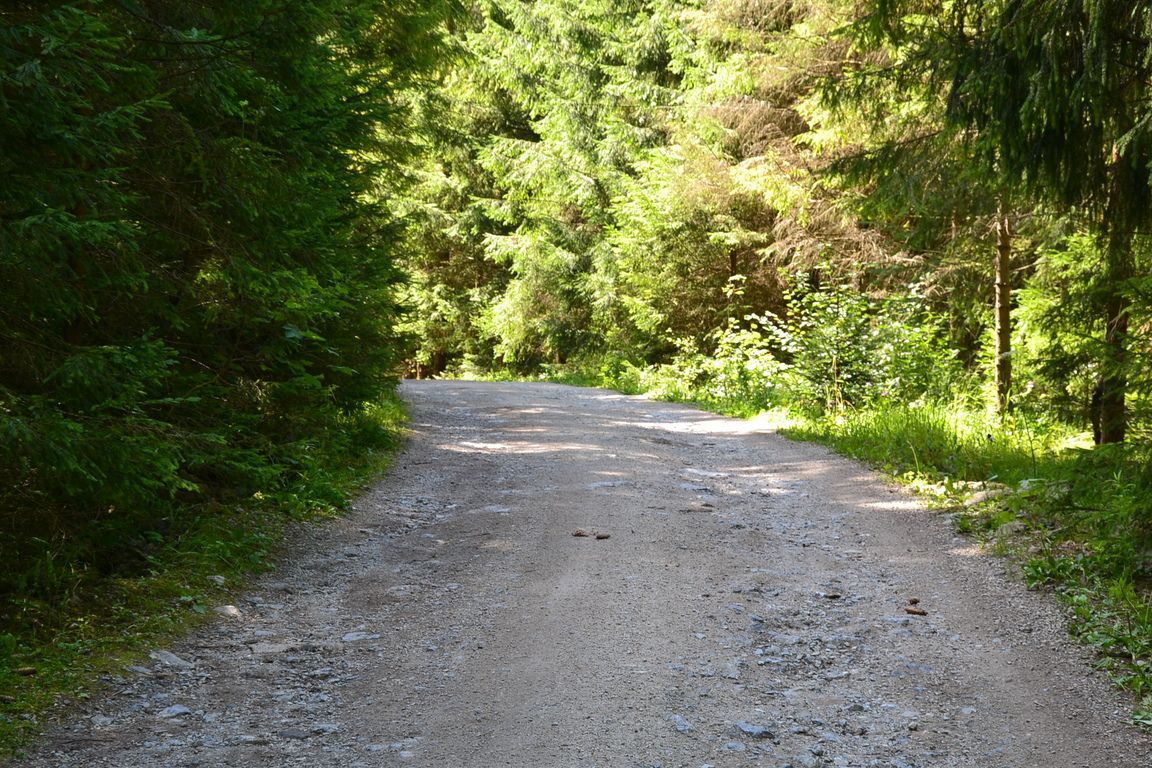 DSC_0023.jpg
