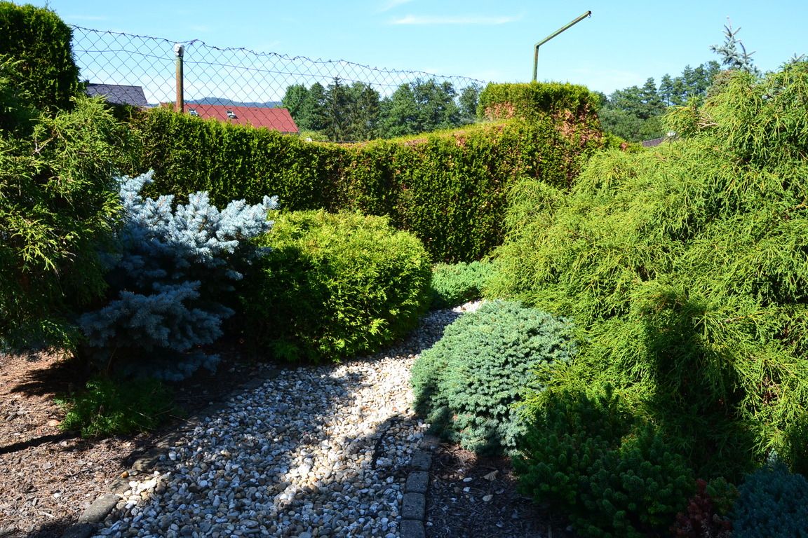 DSC_0023.jpg