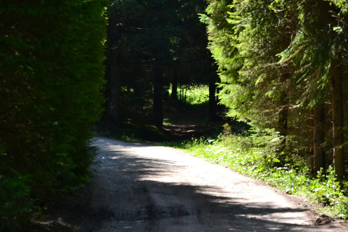 DSC_0024.jpg