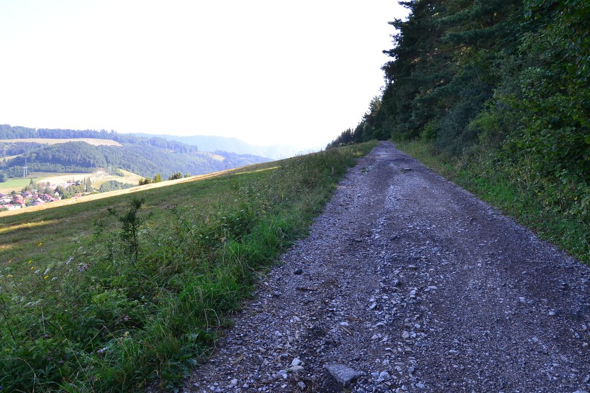 DSC_0026.jpg