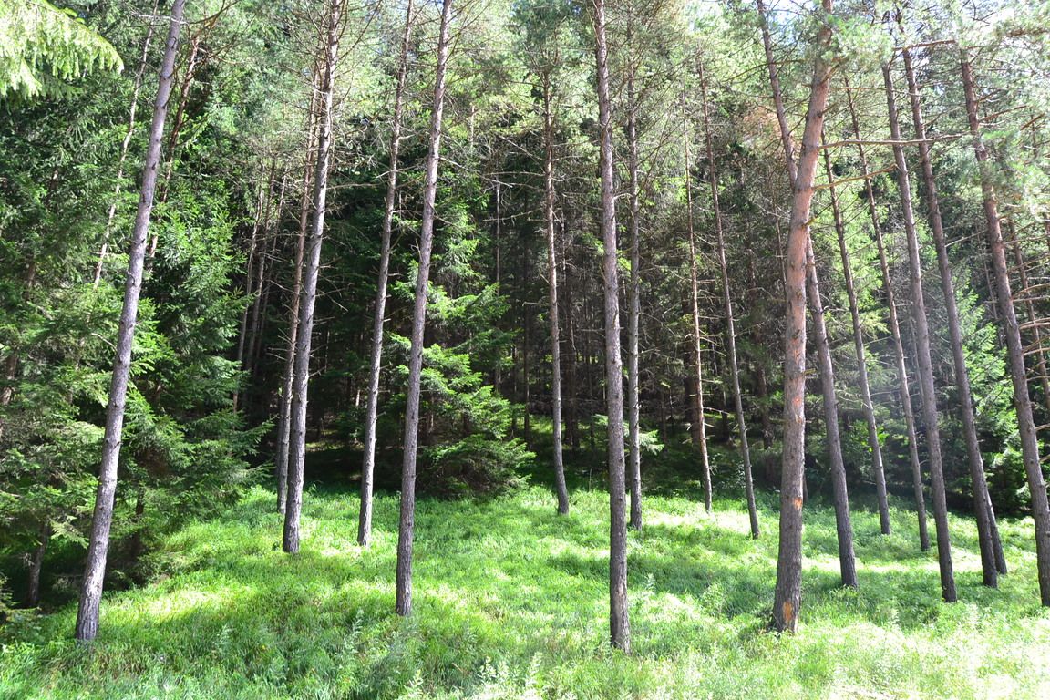 DSC_0027.jpg