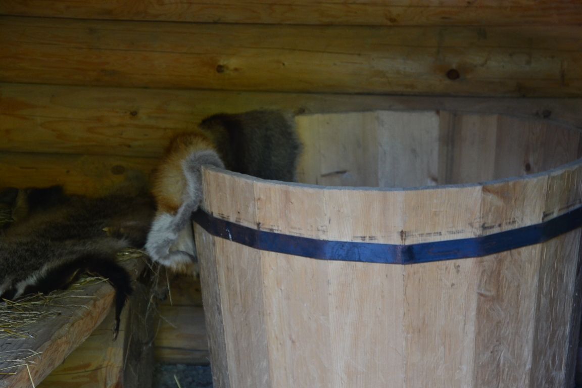 DSC_0027.jpg