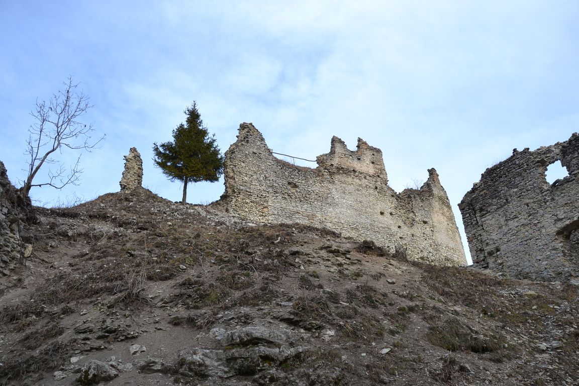 DSC_0028.jpg