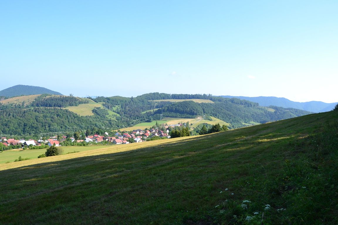 DSC_0029.jpg