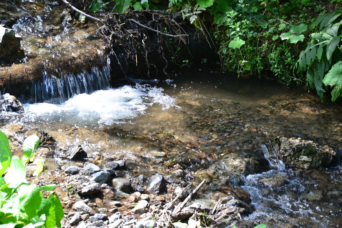DSC_0030.jpg