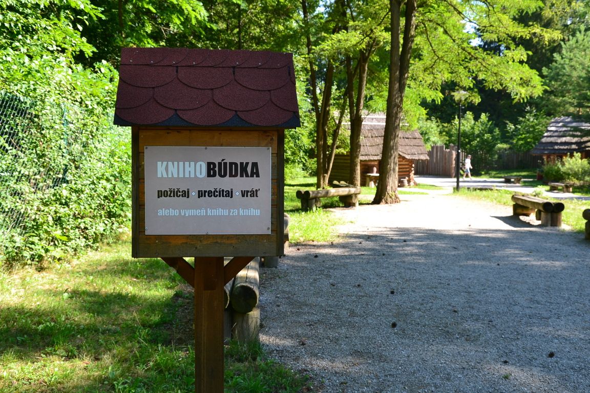 DSC_0031.jpg