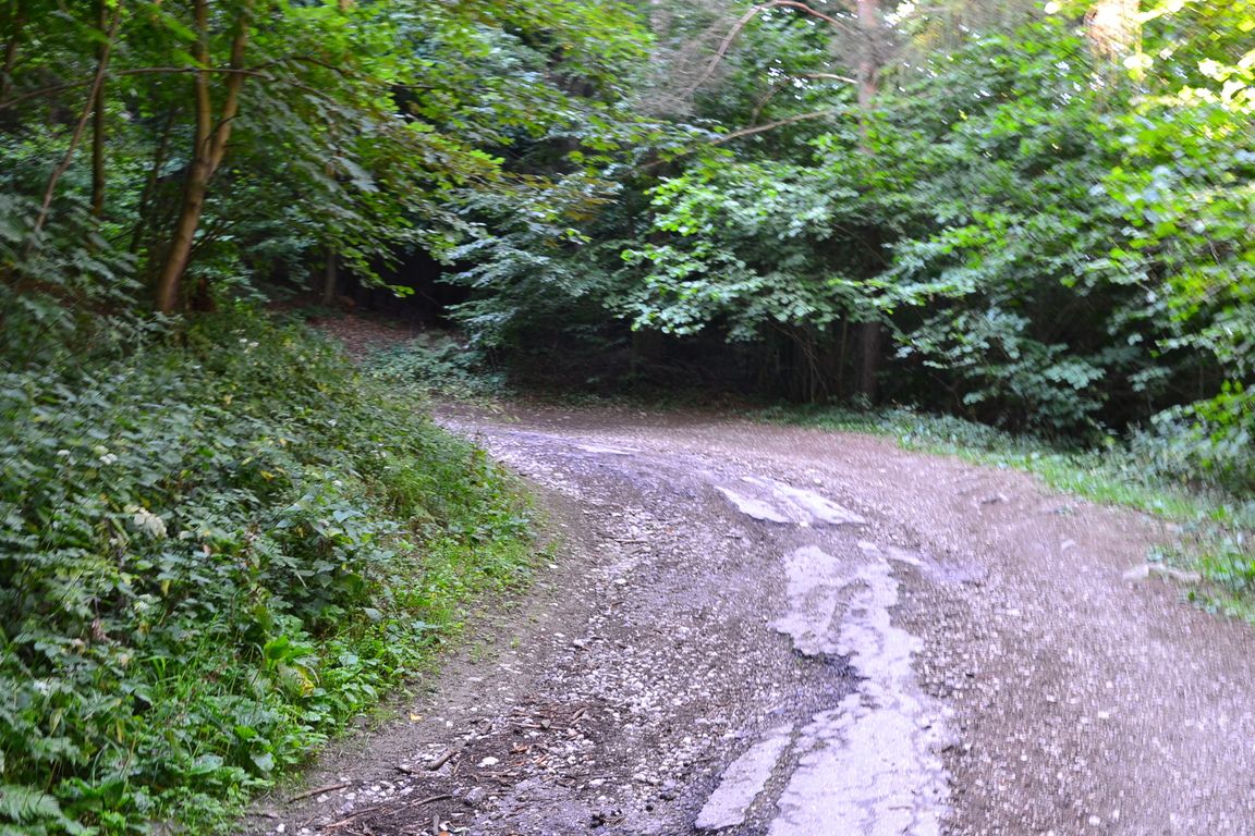DSC_0033.jpg