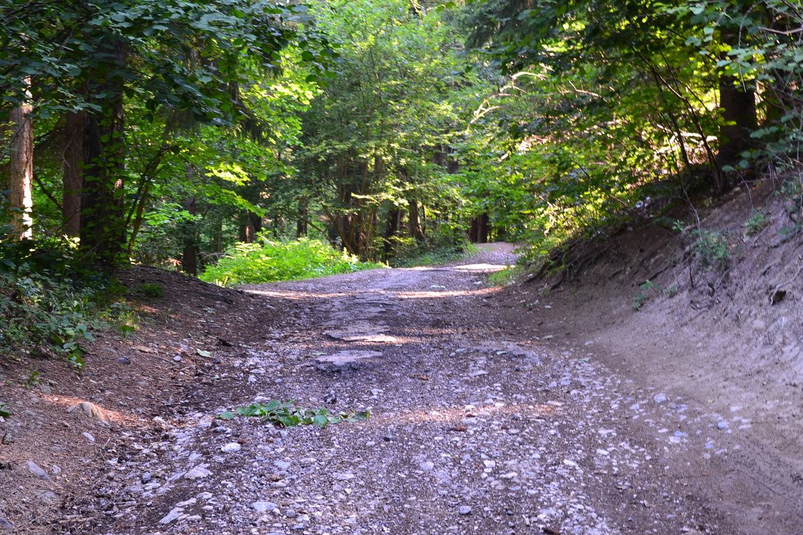 DSC_0034.jpg