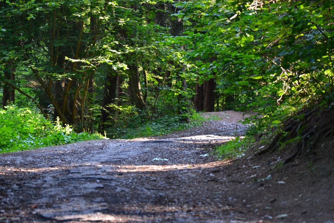 DSC_0035.jpg