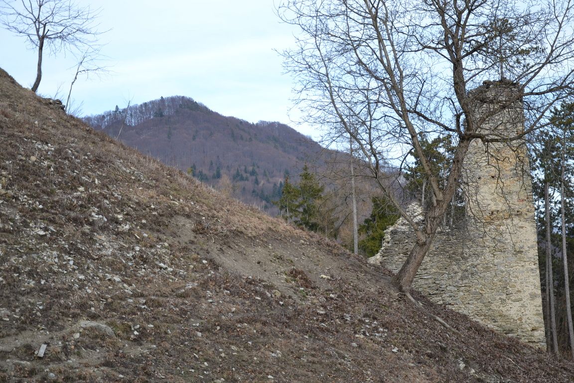 DSC_0036.jpg