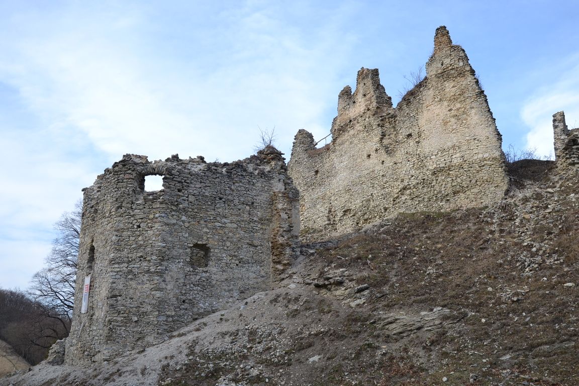 DSC_0037.jpg