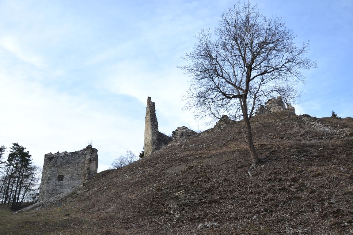 DSC_0038.jpg