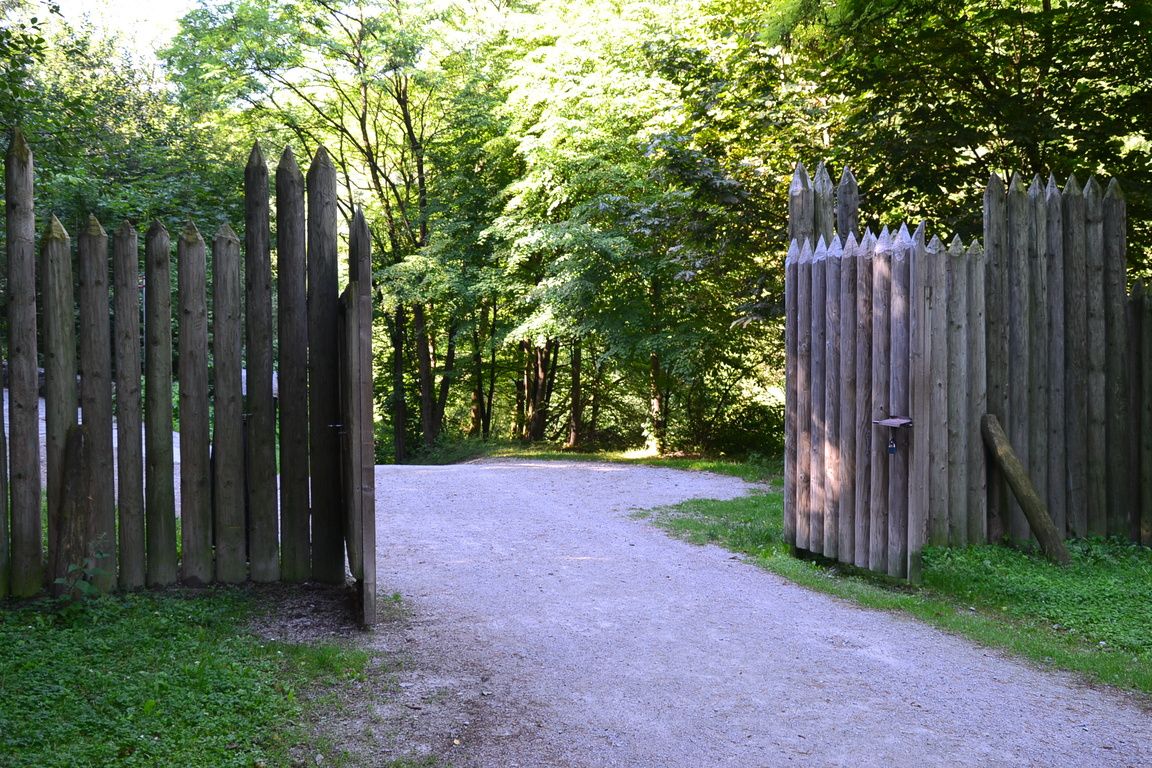 DSC_0038.jpg
