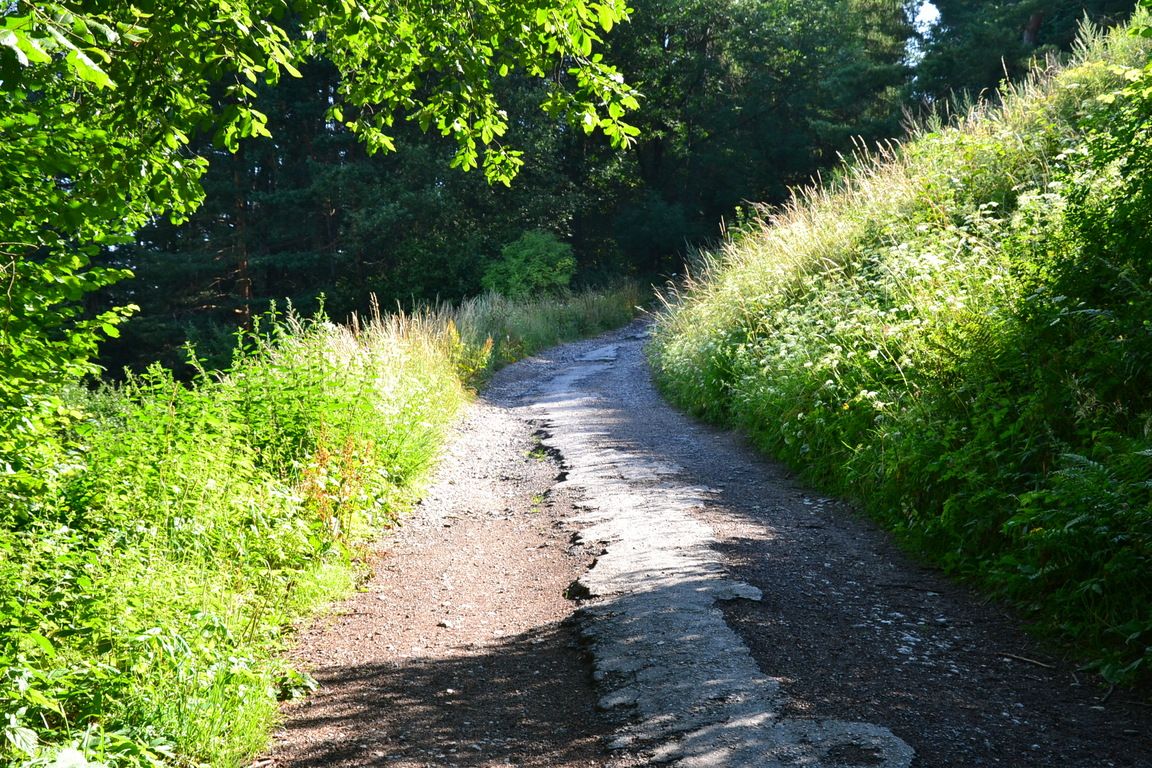 DSC_0039.jpg