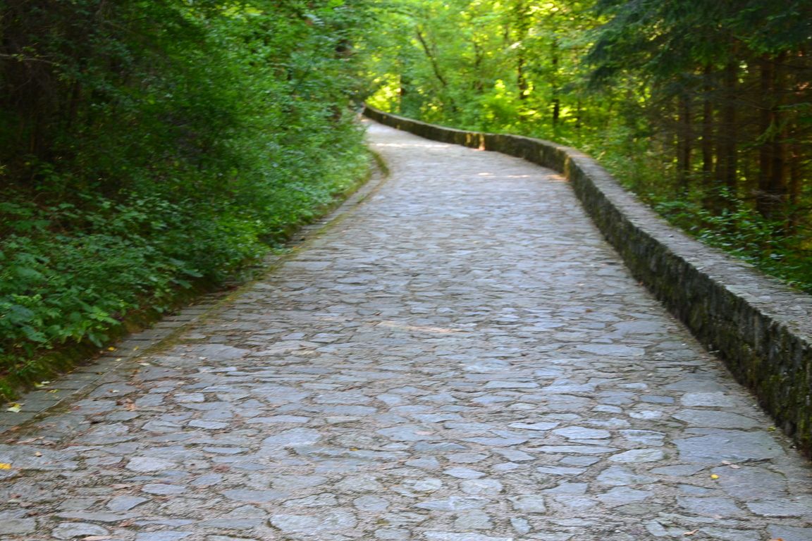 DSC_0039.jpg