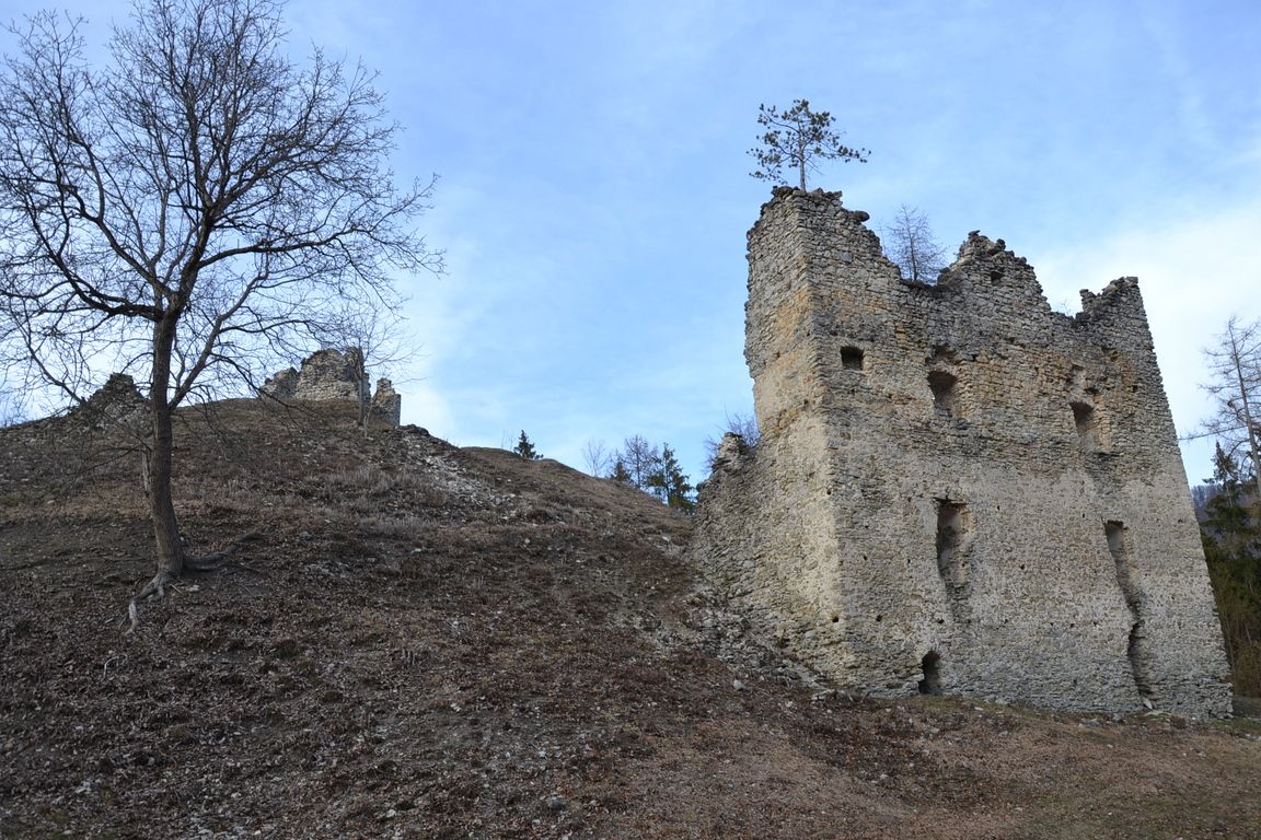 DSC_0039.jpg