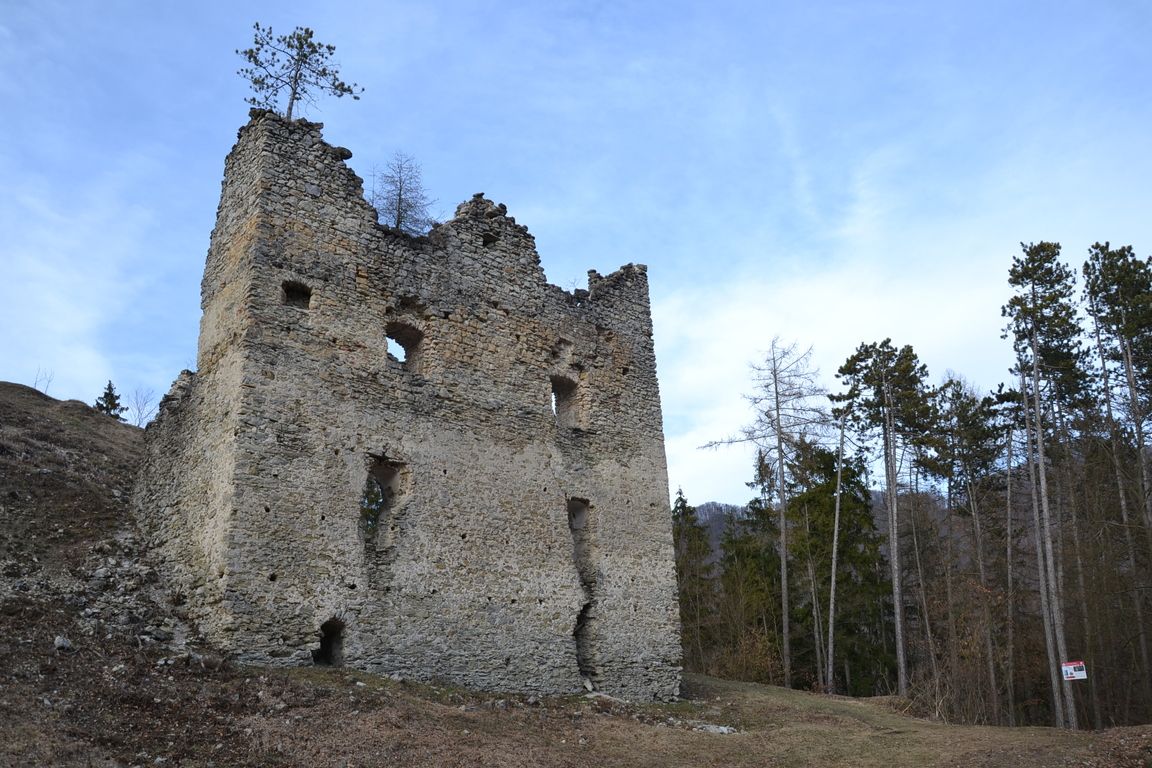 DSC_0040.jpg