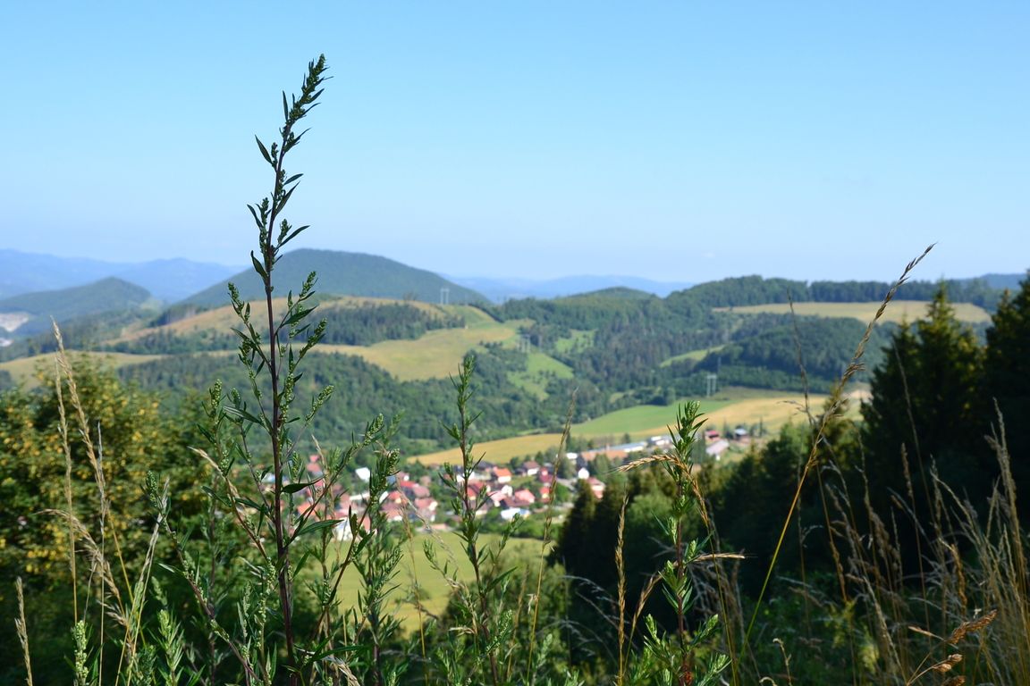 DSC_0040.jpg