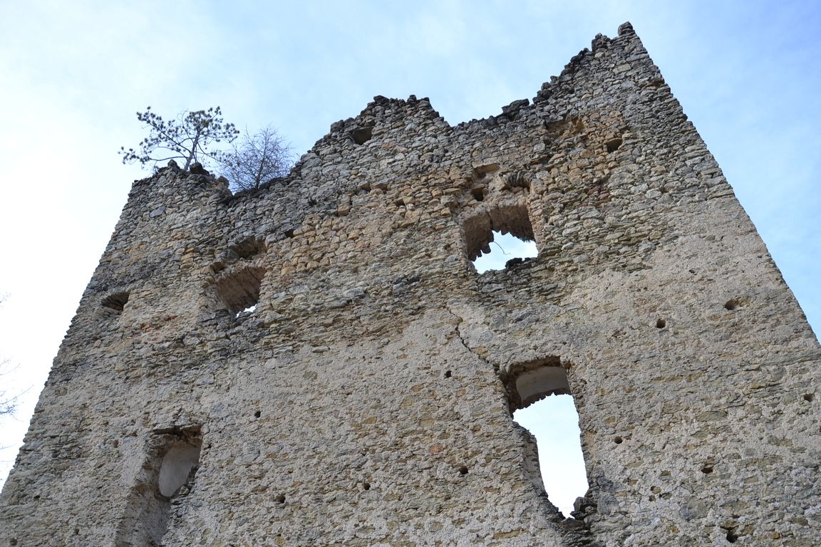 DSC_0041.jpg