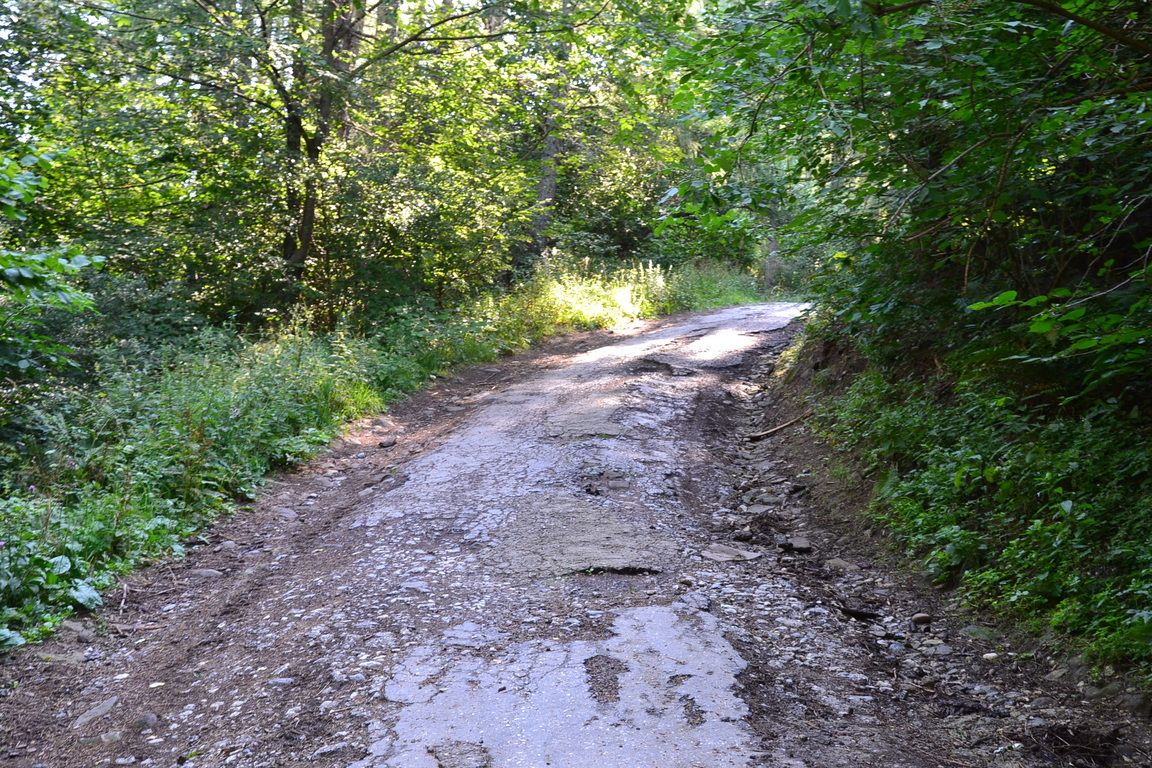 DSC_0041.jpg