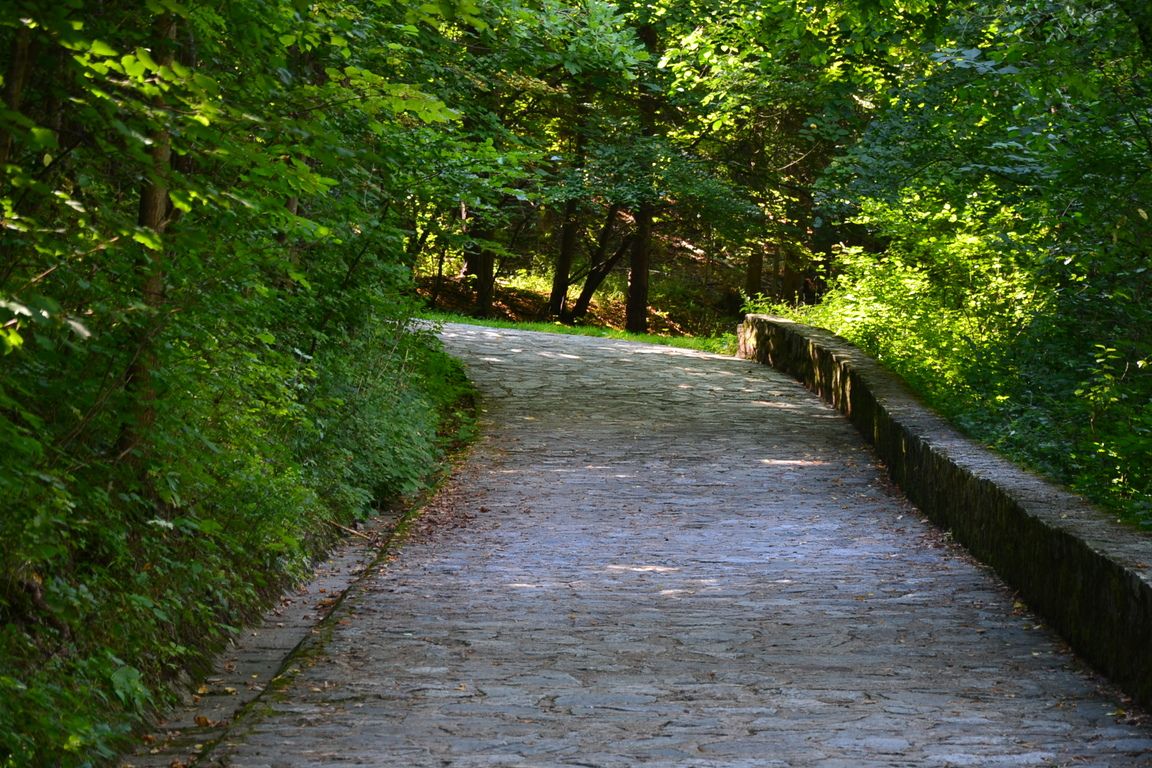 DSC_0042.jpg