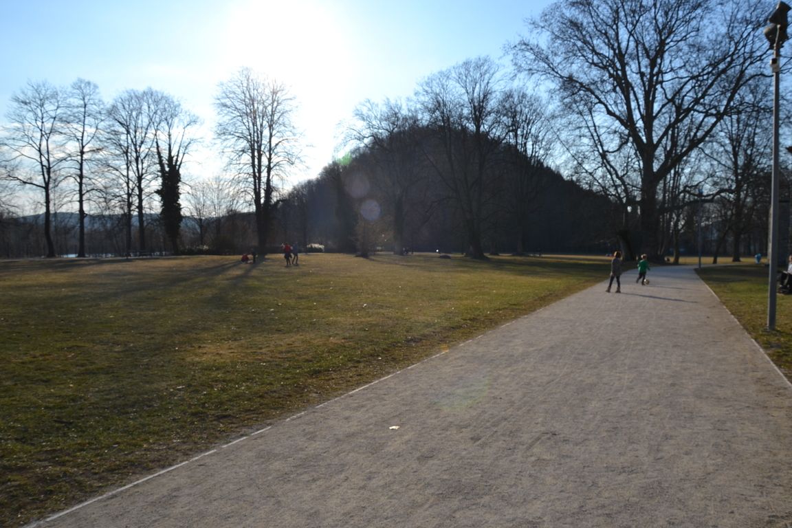 DSC_0043.jpg