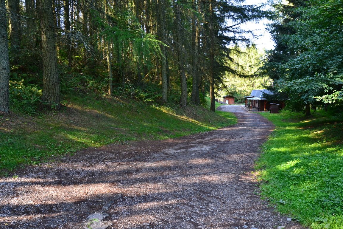 DSC_0043.jpg
