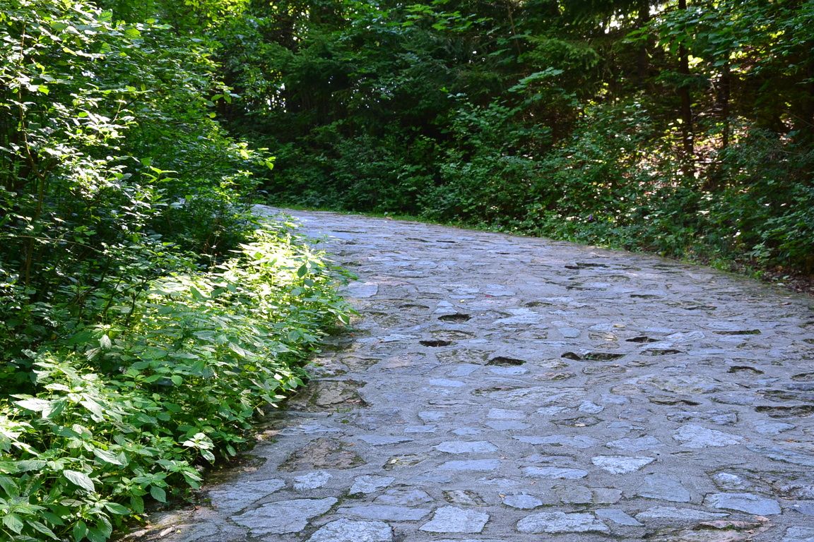 DSC_0045.jpg