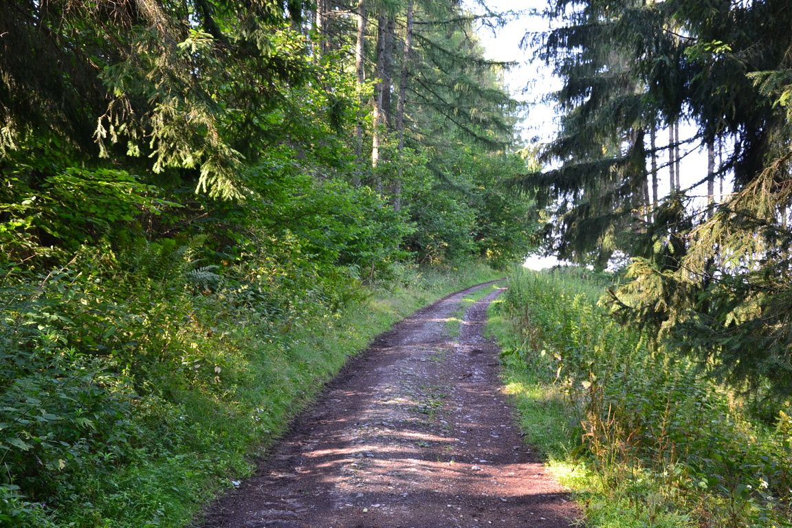 DSC_0046.jpg