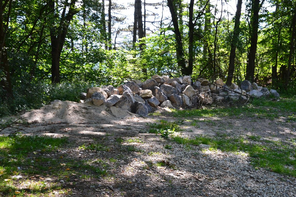 DSC_0046.jpg