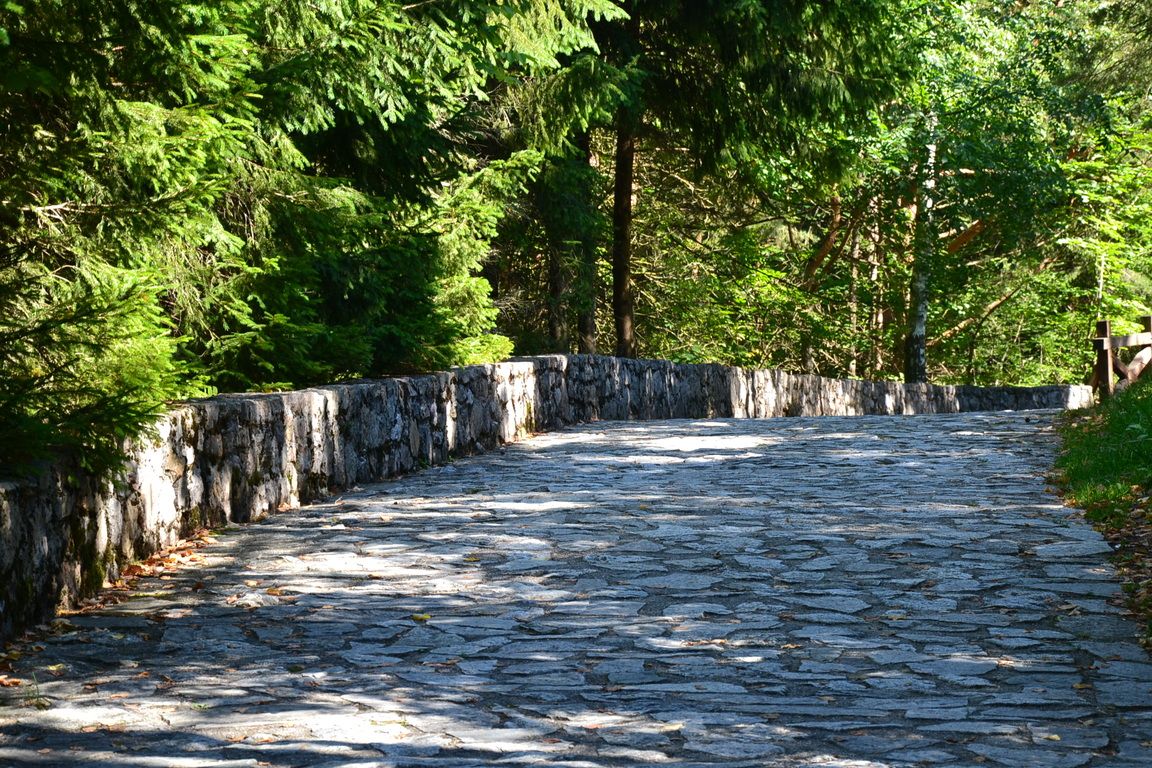 DSC_0048.jpg