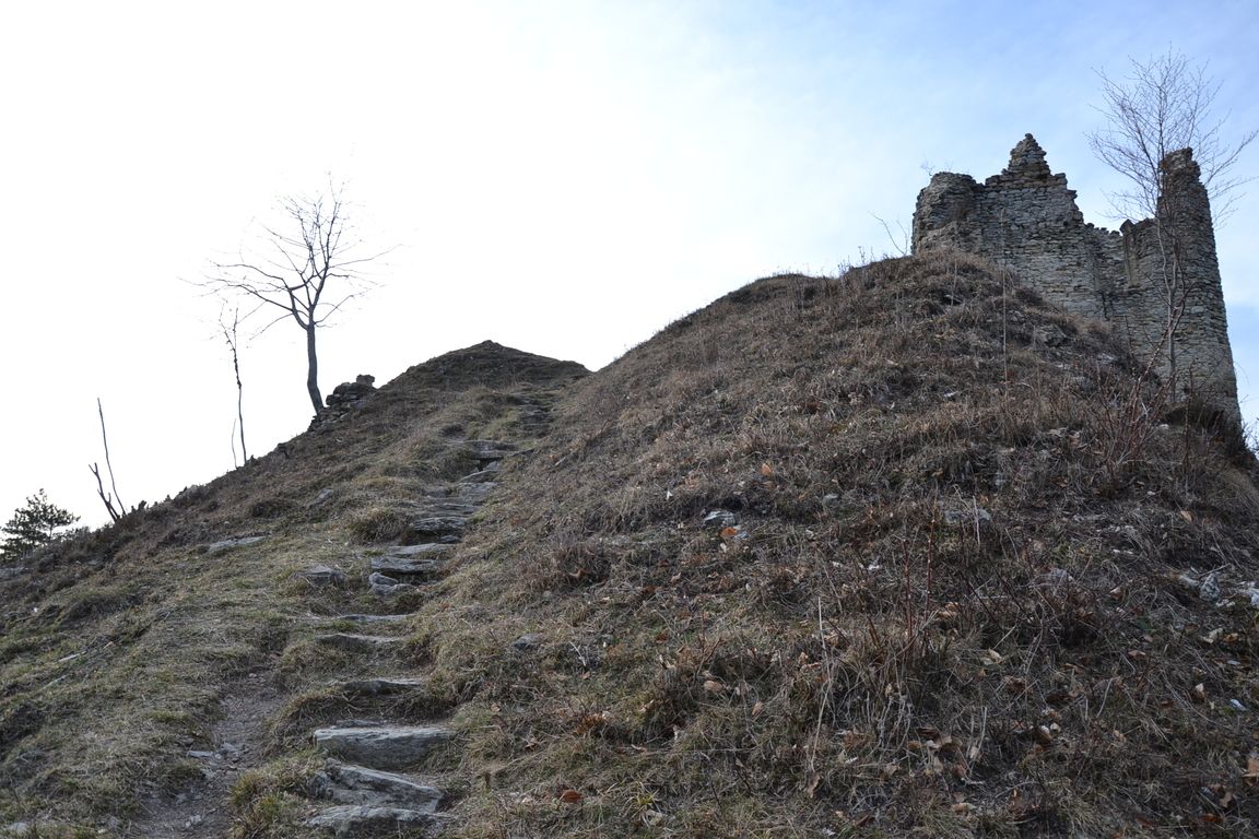 DSC_0049.jpg