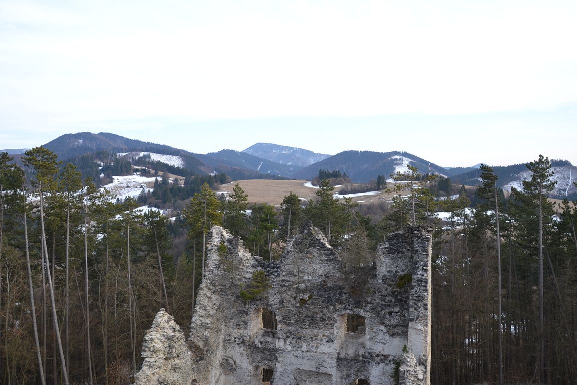 DSC_0050.jpg